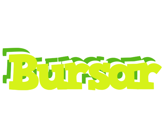 Bursar citrus logo