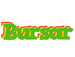 Bursar crocodile logo