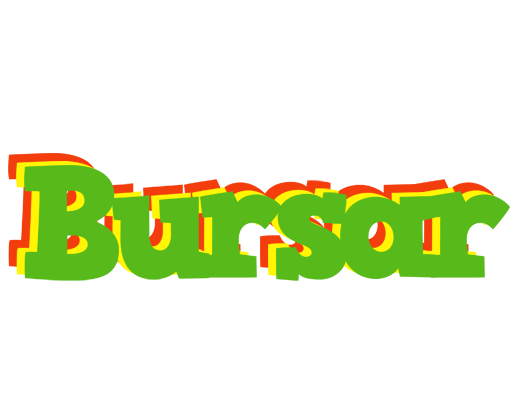 Bursar crocodile logo