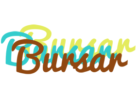 Bursar cupcake logo