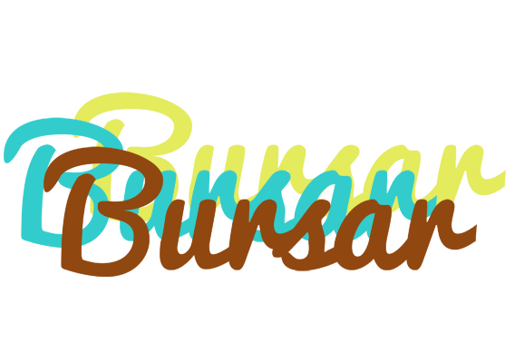 Bursar cupcake logo