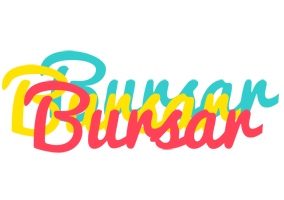 Bursar disco logo