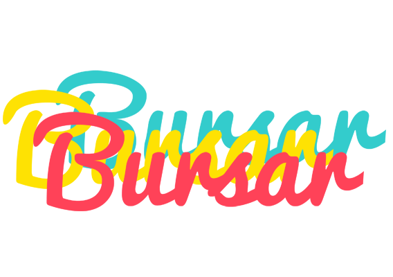 Bursar disco logo