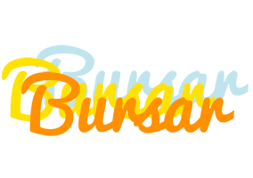 Bursar energy logo