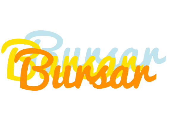 Bursar energy logo
