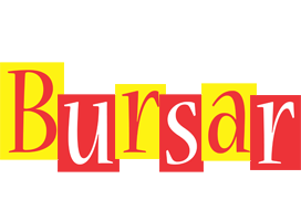 Bursar errors logo