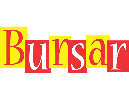 Bursar errors logo