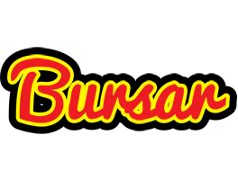 Bursar fireman logo