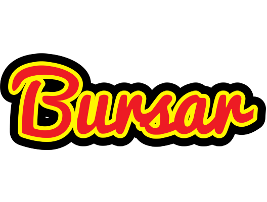 Bursar fireman logo