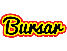 Bursar flaming logo