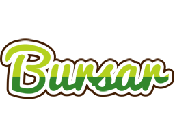 Bursar golfing logo