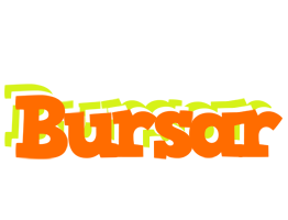 Bursar healthy logo