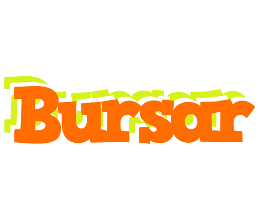 Bursar healthy logo