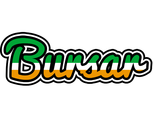 Bursar ireland logo
