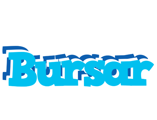 Bursar jacuzzi logo