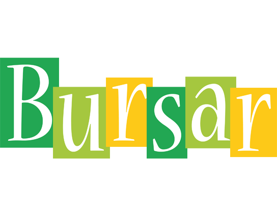 Bursar lemonade logo