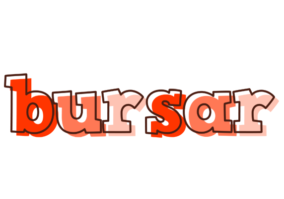 Bursar paint logo