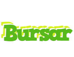 Bursar picnic logo