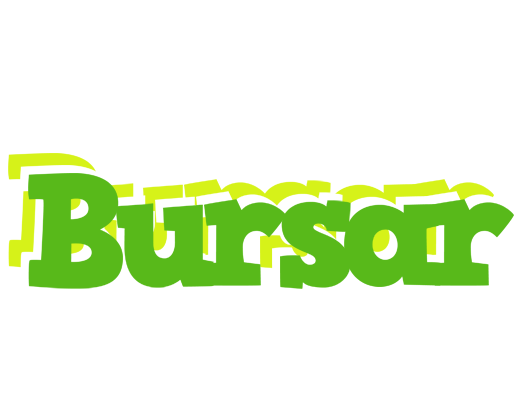 Bursar picnic logo