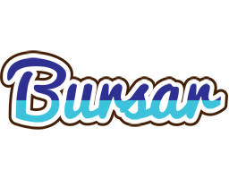 Bursar raining logo