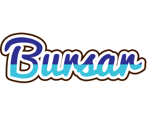 Bursar raining logo