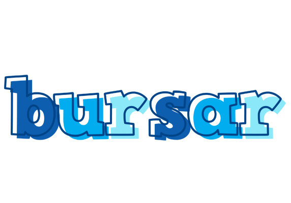 Bursar sailor logo