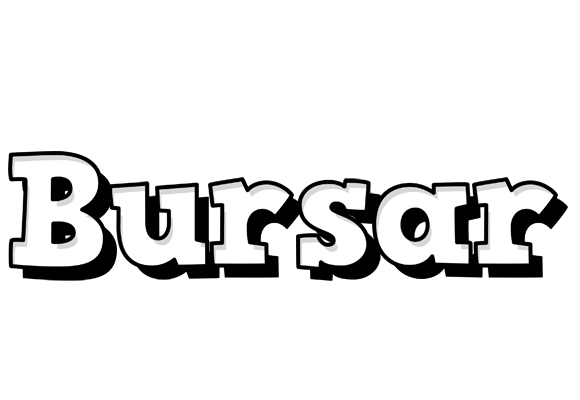 Bursar snowing logo
