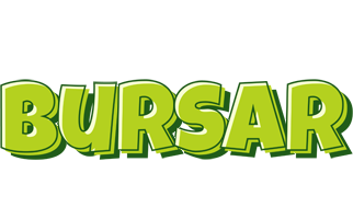 Bursar summer logo