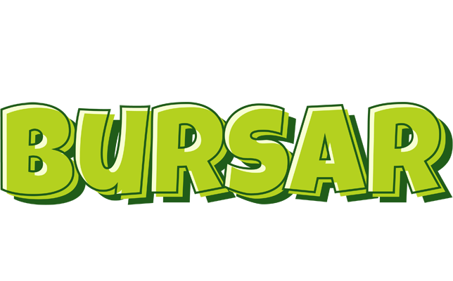 Bursar summer logo