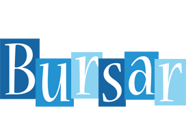 Bursar winter logo