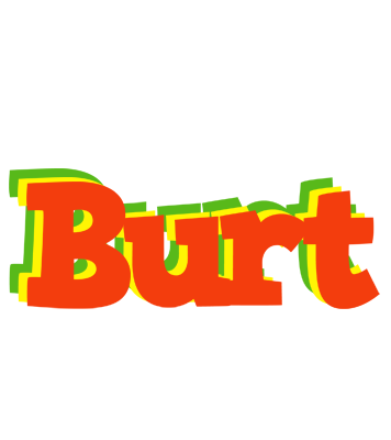 Burt bbq logo