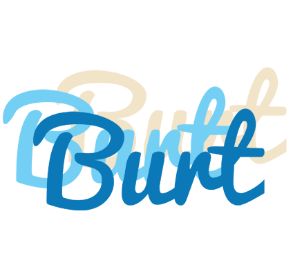 Burt breeze logo
