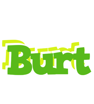 Burt picnic logo