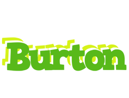 Burton picnic logo