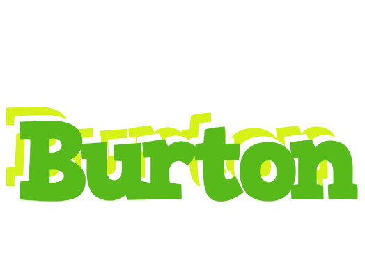 Burton picnic logo