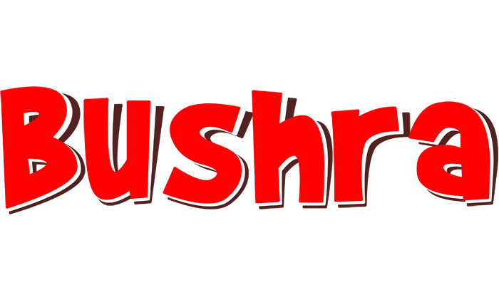 Bushra basket logo