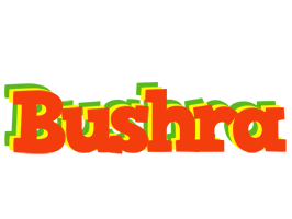 Bushra bbq logo