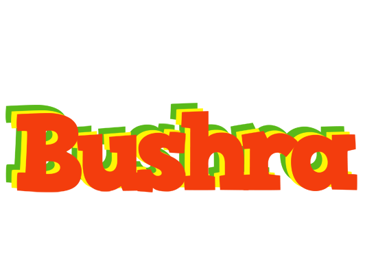 Bushra bbq logo