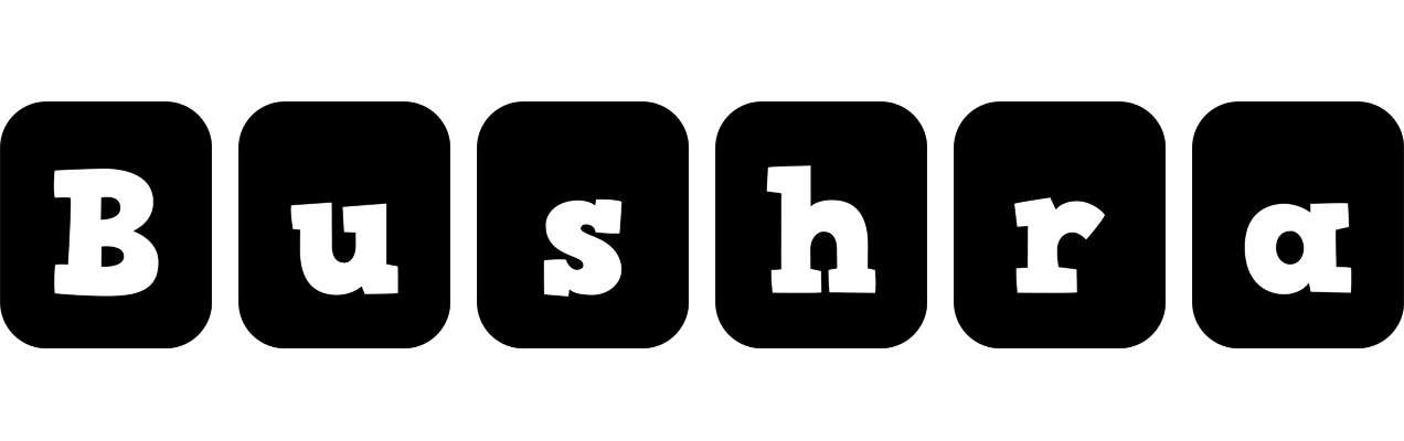 Bushra box logo