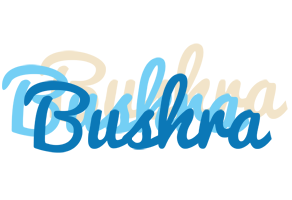Bushra breeze logo
