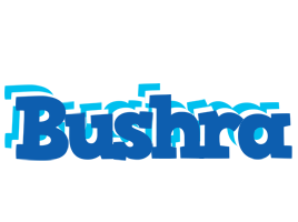 Bushra business logo