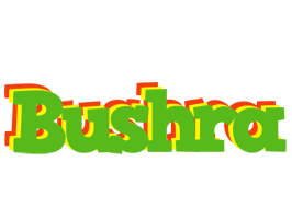 Bushra crocodile logo