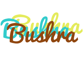Bushra cupcake logo