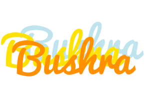 Bushra energy logo