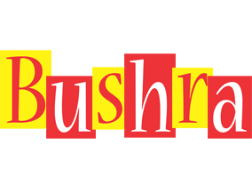 Bushra errors logo