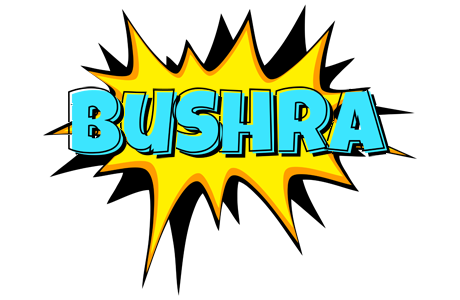 Bushra indycar logo