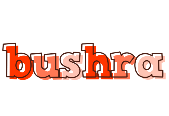 Bushra paint logo