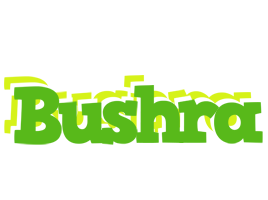 Bushra picnic logo