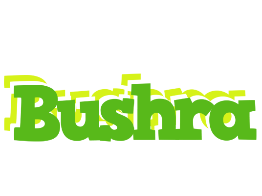 Bushra picnic logo
