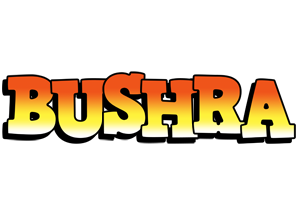 Bushra sunset logo